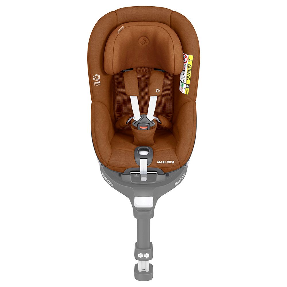 2019 convertible best sale car seat